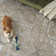 Laleia Washable Oriental Indoor Rug