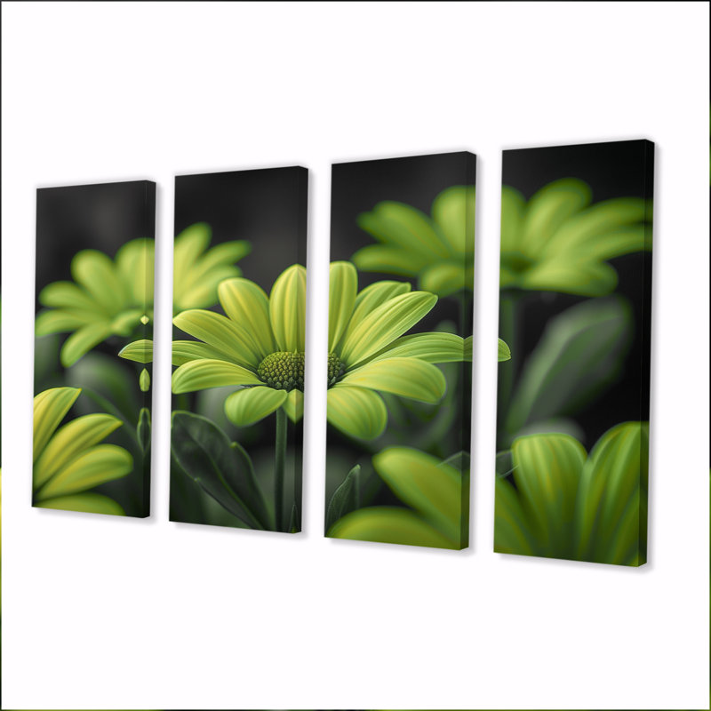 Monochromes vert noir, marguerites, ensemble de reproductions d'art mural, H 28 po x l 48 po