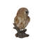 Statue hibou on souches