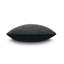 Banks Square Pillow Cover & Insert