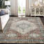 Caong Rectangle Oriental Area Rug-1435439240