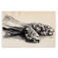 «Dog Paw» gris anthracite sur fond noir-245654374-245654378