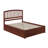 Marlton Solid Wood Platform Bed with Panel Footboard and Trundle-89114871