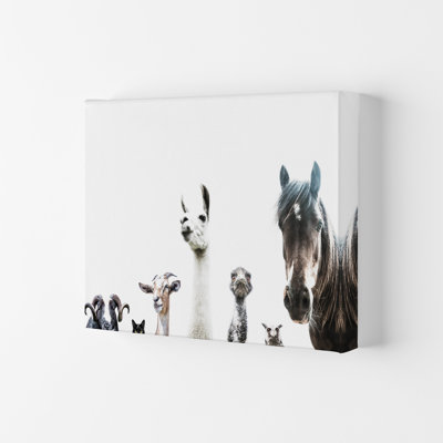 Animal Crew by Victoria Frost - Print