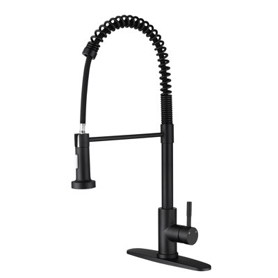 Robinet de cuisine avec douchette extractible, acier inoxydable en noir mat, buse rotative à 360 ° pour une expérience optimale de l'eau, traitement contre la rouille et la corrosion, robinet de pulvérisation à poignée simple, noir