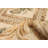 Lahor Wool Oriental Indoor Rug