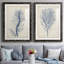 Indigo Coral-1687557489-1687557484-1687523540