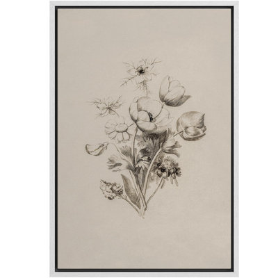Croquis floral classique, illustrations botaniques monochromes, campagne française rustique