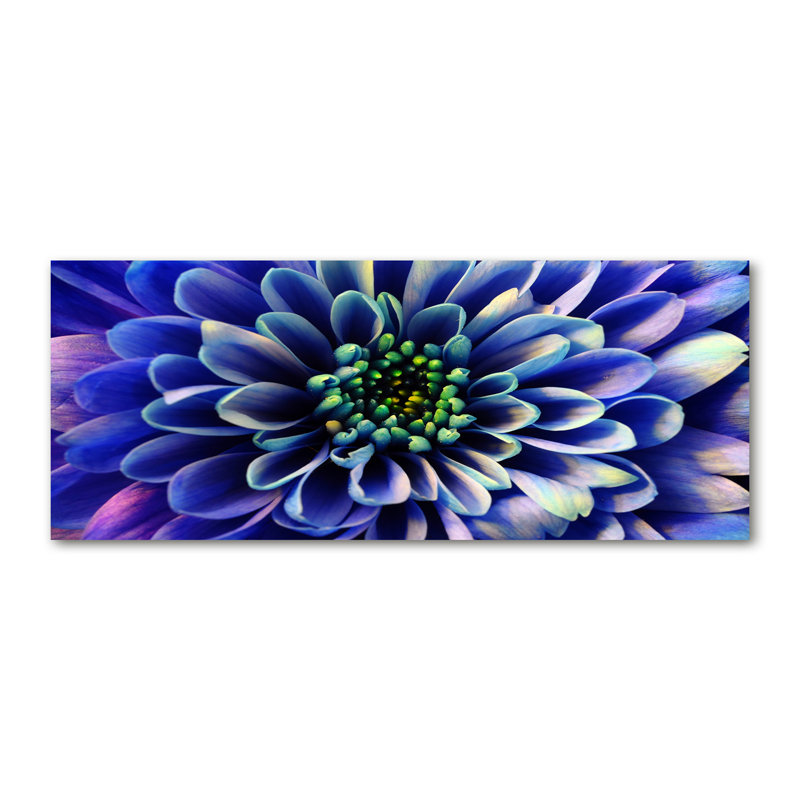 Aster - Wrapped Canvas Print