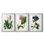 Reproduction encadrée antique de qualité florale II - prête à être accrochée-69879376-69879377