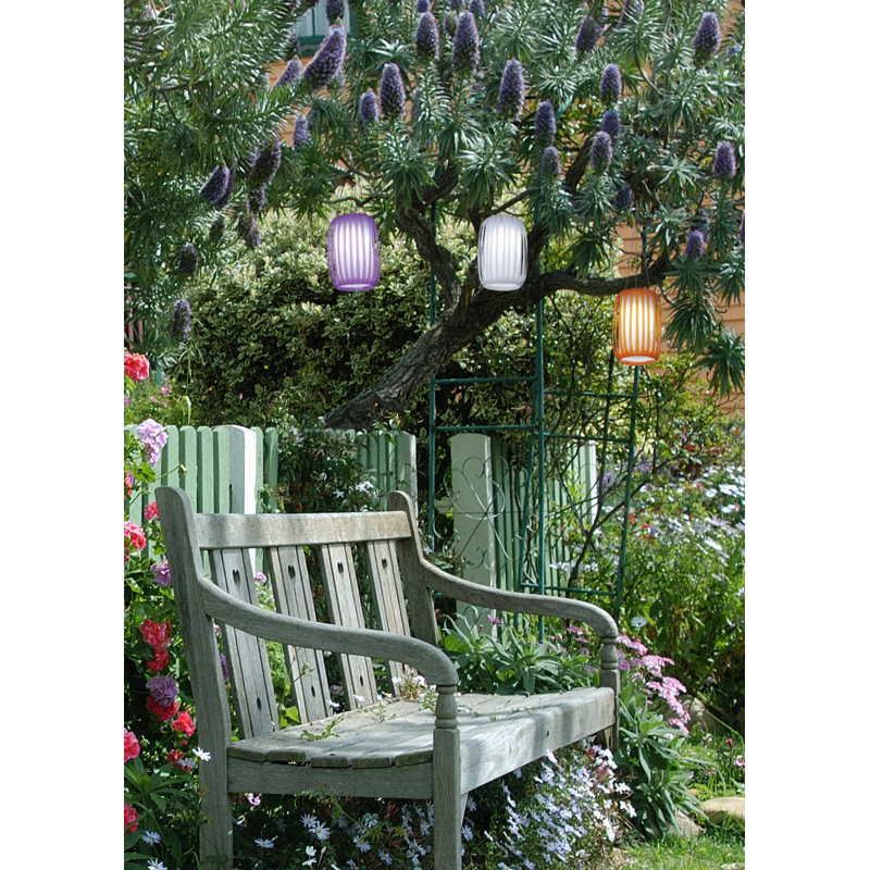 Shavon LED Outdoor Hanging Lantern, Violet