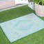 Tapis oriental intérieur / extérieur Arnolf Meghan-1654508329
