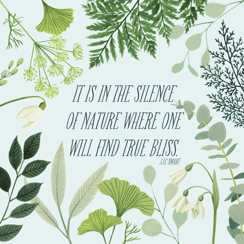 Natural Bliss I by Grace Popp - Wrapped Canvas Print, 30cm H x 30cm W