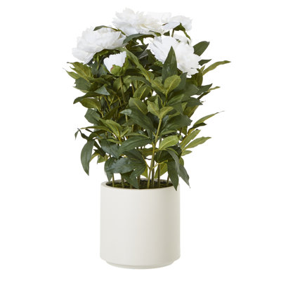 Annitta 71cm Plant in Pot