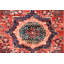 Aryana Wool Oriental Area Rug