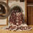 Machine Washable Persian Brown Area Rug-2081078988