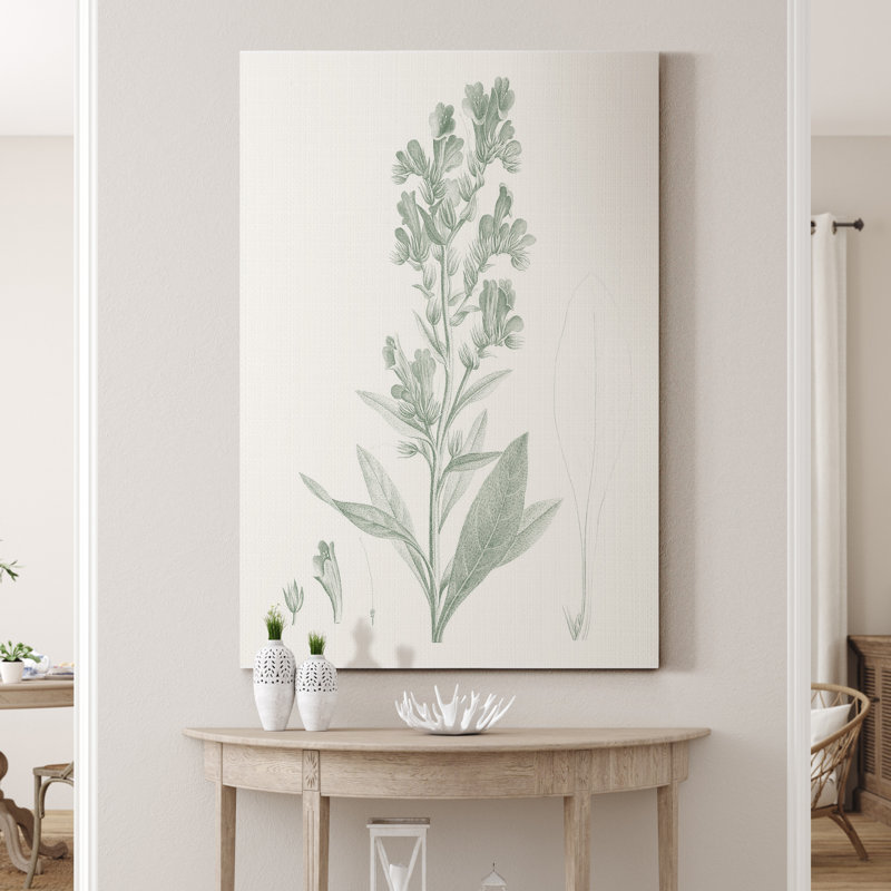 «Botanical Study in Sage III», reproduction d'art sur toile tendue, H 36 po x l 24 po x P 1 po