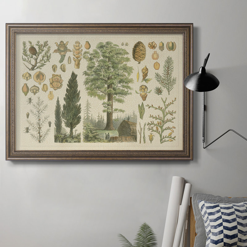 Collection Arbor - Toile encadrée de qualité supérieure - prête à être accrochée, H 16 po x l 20 po x P 2,5 po
