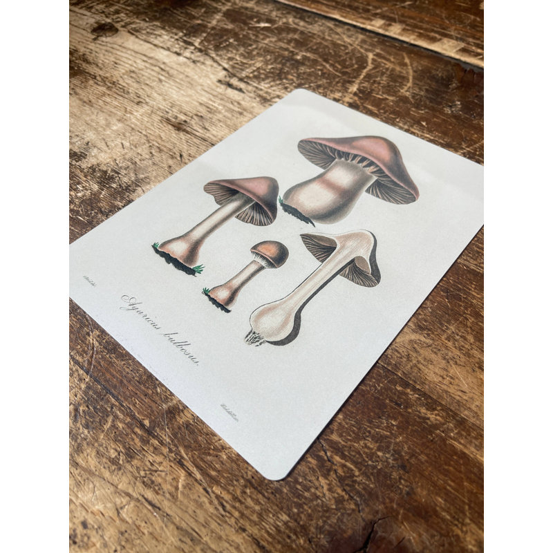 Brown Death Cap Mushroom Metal Wall Décor, 60cm H x 40cm W