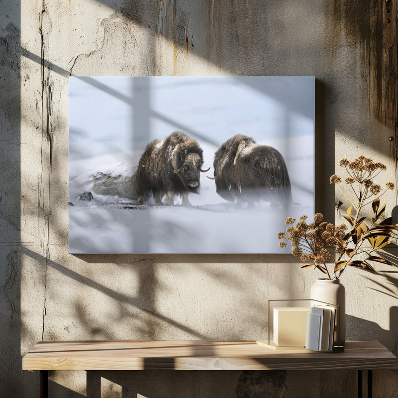 Wrapped Canvas Print, 60.96 cm H x 91.44 cm W