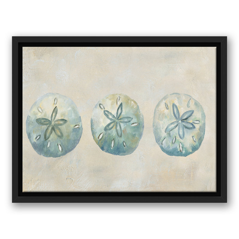 Sand Dollars, H 13,75 po x l 17,75 po