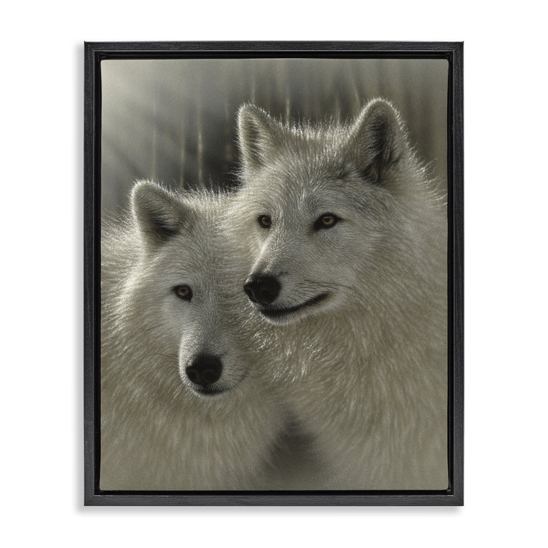 Cadre flottant Sunlit Soulouses Wolves, design par Collin Bogle, Cadre flottant noir de jais, H 21 po x l 17 po
