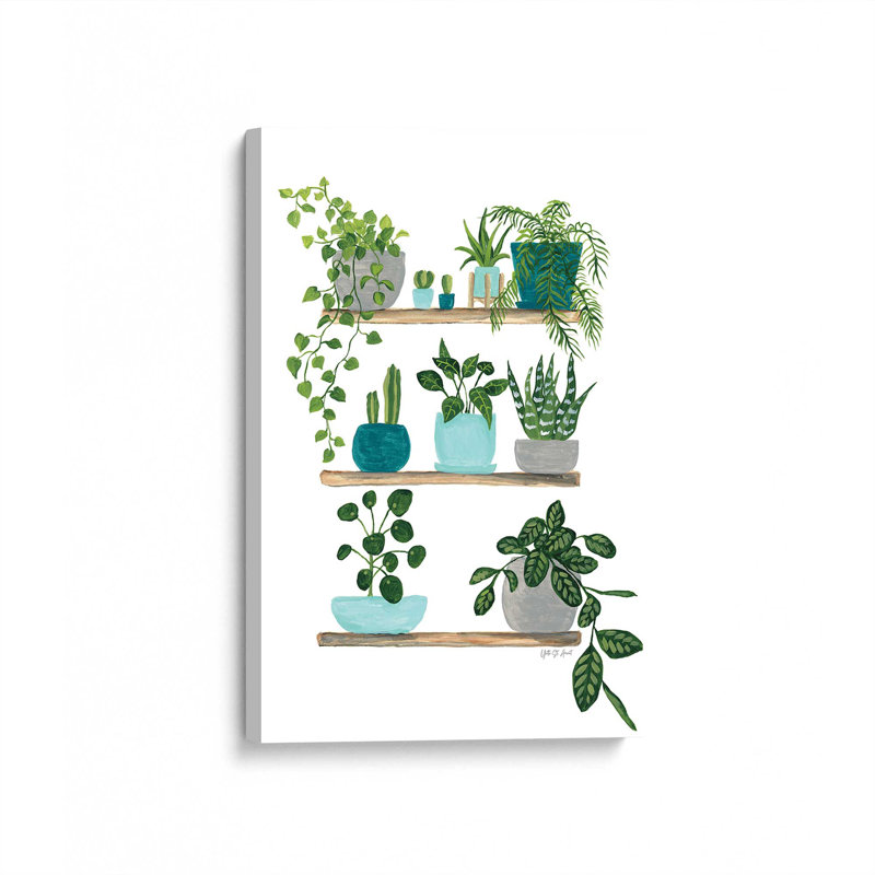 My Boho Plants I by Yvette St. Amant Canvas Art Print, 48" H x 36" W