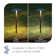 Low Voltage Integrated LED Metal Pathway Light