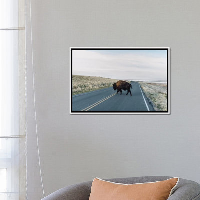 « buffalo bison » par chelsea victoria-impression