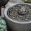 Medallion Birdbath Fountain
