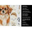Serviette de cuisine Red Tibetan Spaniel-1234934592