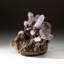 Amethyst from Piedra Parada, Las Vigas De Ramirez, Veracruz, Mexico