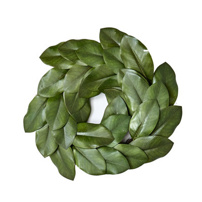 20" Magnolia Leaf Wreath