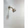 One Rain Fixed Shower Head