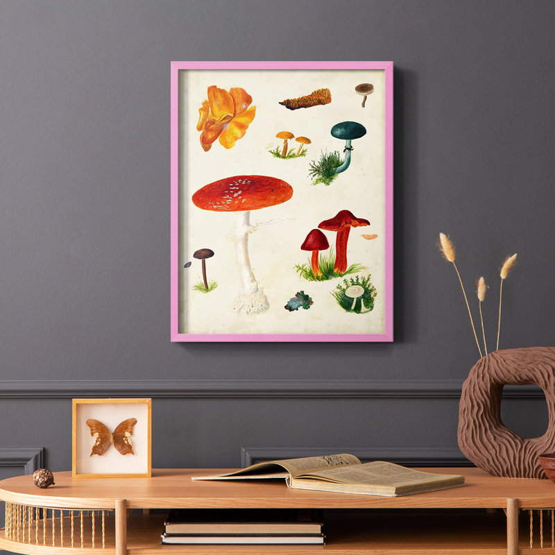 Reproduction encadrée champignon Mushroom Species, Rose, H 10 po x l 8 po