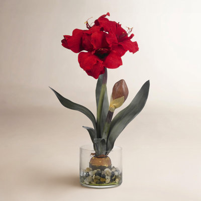 Amaryllis Floral Arrangement