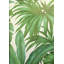 Palm Leaf White Green Wallpaper