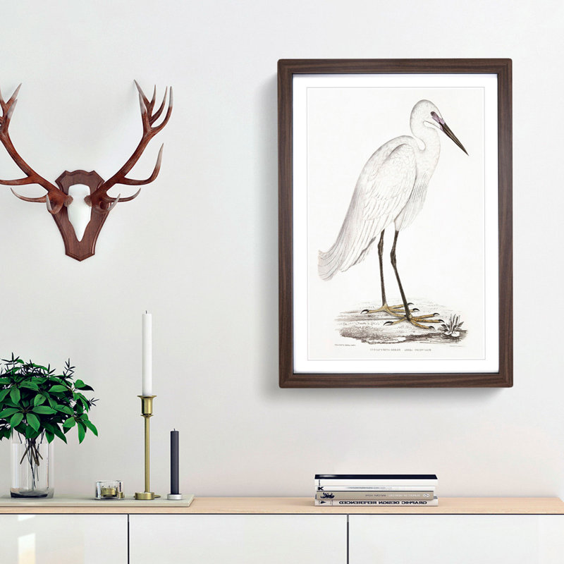 White Heron by John Edward Gray - Framed Print, 36cm H x 27cm W x 2cm D, Walnut Framed