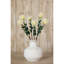 Pincushion Protea Spray-111171267