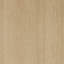 Wood Veneer-505004748