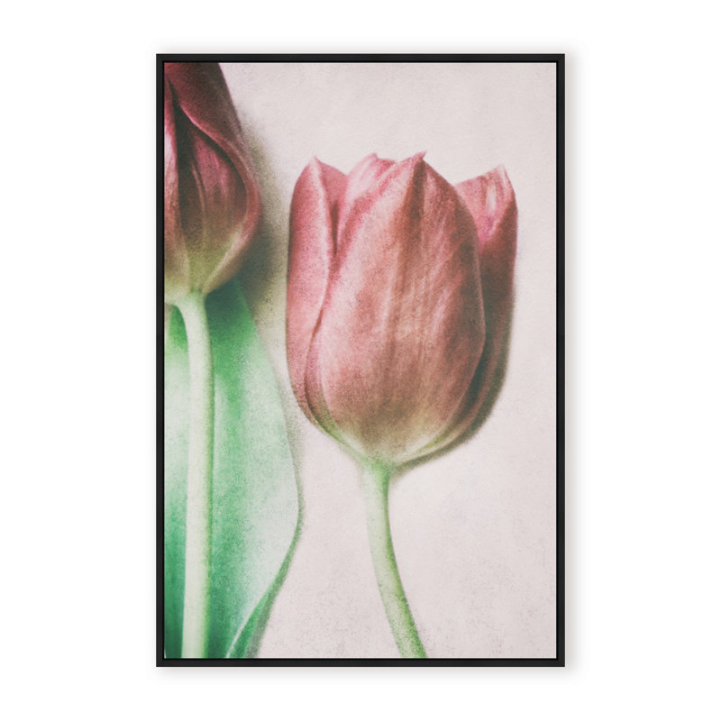 Nature Inspired The Spring Lovers by  - Picture Frame Graphic Art on Paper, 36" H x 24" W x 1.125" D, Framed Matted Print