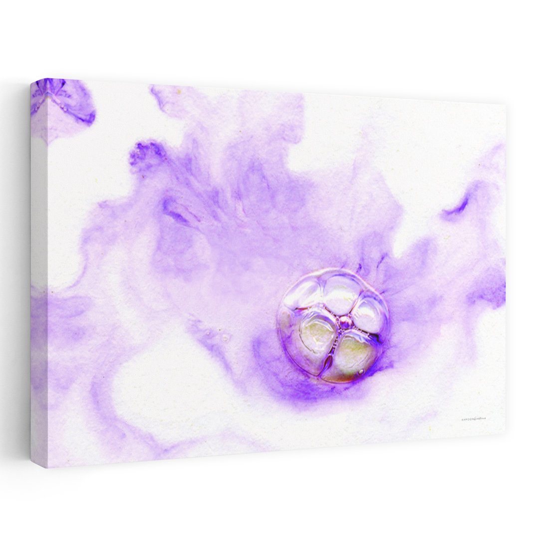 My Little Bubble Abstract Contemporary Wall Art Print