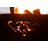 Africa's Big Five Fire Pit