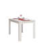 Dining Table-18989334