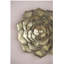 Plaque murale succulente D10x1,4 ", 2 pièces