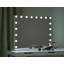 Dewitte Flat Floor Mirror