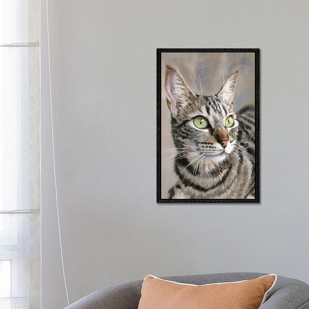 Tabby Eyes von Rachel Parker - Galerie-verpackte Leinwand Giclée auf Leinwand