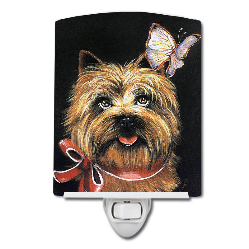 Veilleuse Westie, Cairn terrier papillon