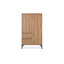 Kasch 2 -Drawer 2 -Door Accent Cabinet