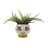 Stoneware Ceramic Planter with Decorative Face Design and Elevated Base for Modern Contemporary Decor-165248137